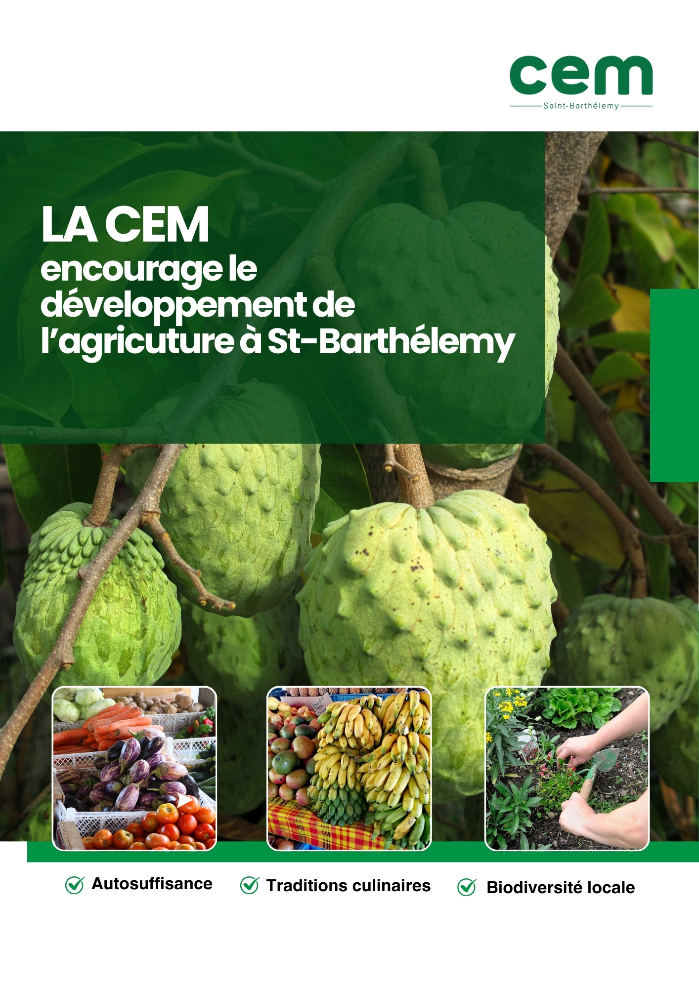 UN PLAN DE DEVELOPPEMENT POUR L'AGRICULTURE 